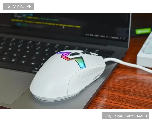 [选手名]代言顶级外设品牌：这款鼠标真的能帮你提升Rating吗？💰